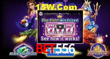 Experiência VIP Bet556